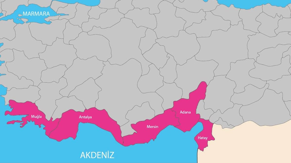 Lübnan ve Suriye’den akın akın geliyor! Antalya, Hatay, Mersin, Adana… Dokunanın hayatı tehlikede