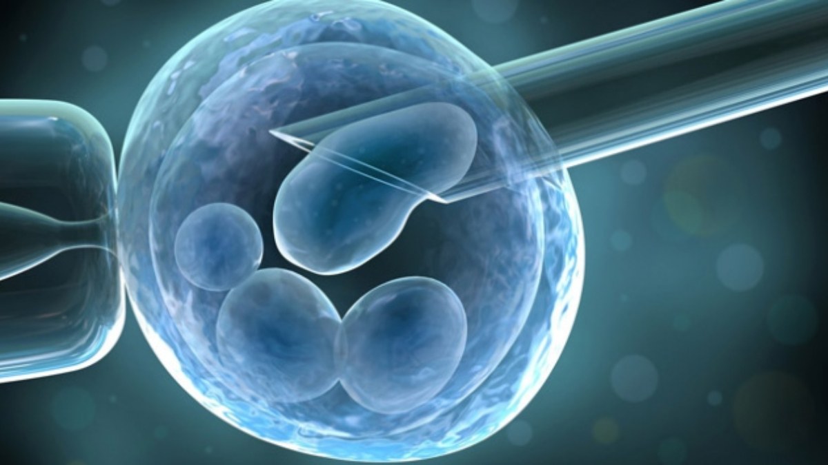 ABD'de mahkeme kararı: Dondurulmuş embriyolar 