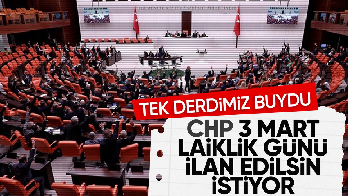 CHP'li vekil Öztürkmen: 3 Mart 'Laiklik Günü' olsun