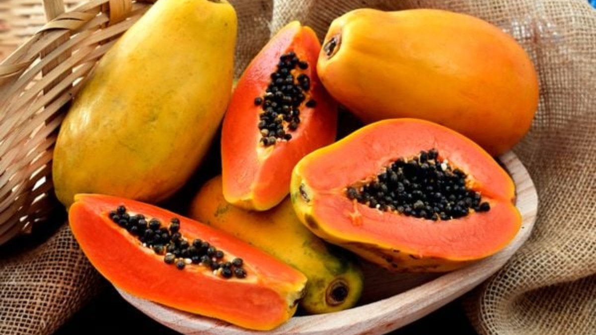 Papaya meyvesi nedir? Papaya meyvesinin faydaları nelerdir?