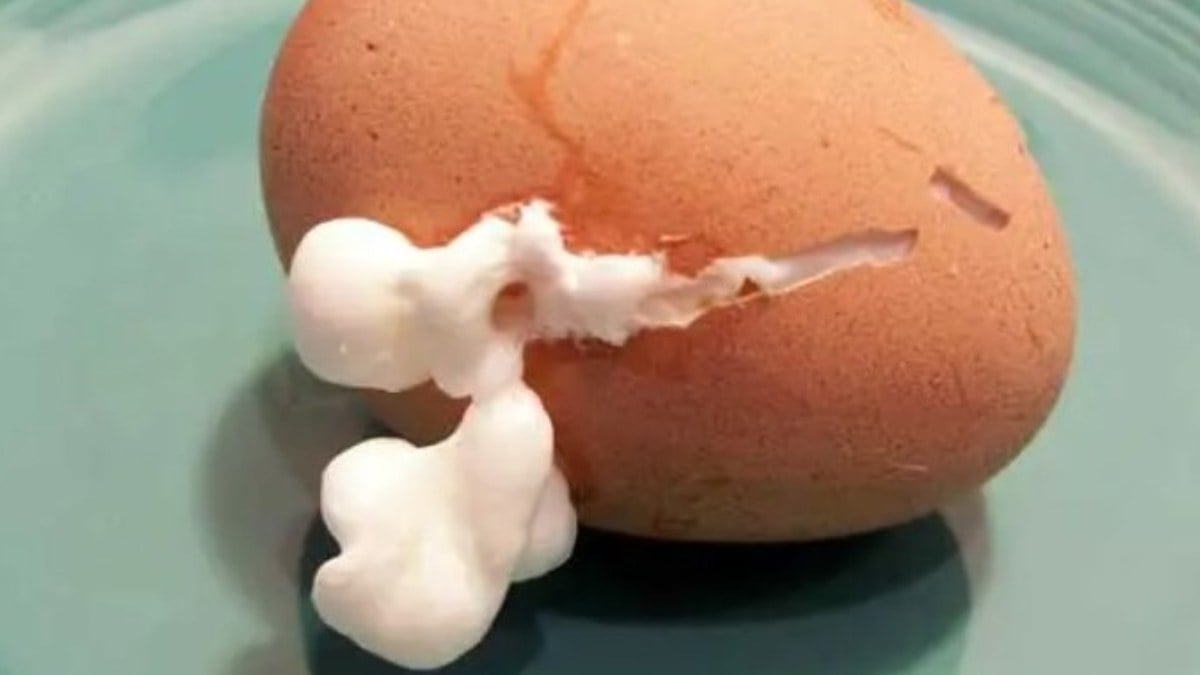 Yumurta haşlanırken birkaç damla ekleyin, yumurtalarınız çatlamadan kaynasın…