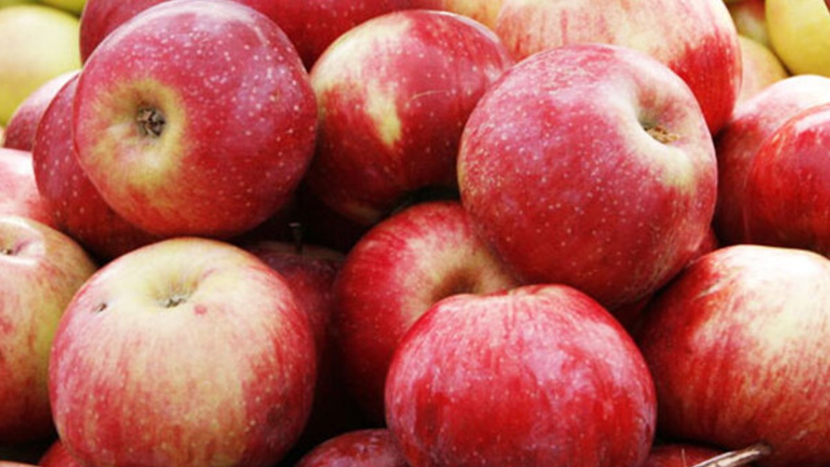 Her sabah aç karnına 1 tane elma tüketin, bakın ne oluyor