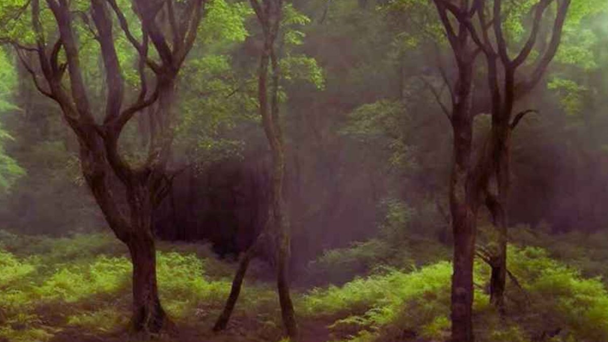 Görsel tuzak: Ormandaki geyiği sadece dahiler 7 saniyede tespit ediyor…