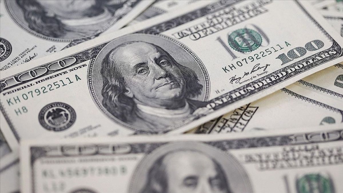 5 milyar kaç dolar gelir