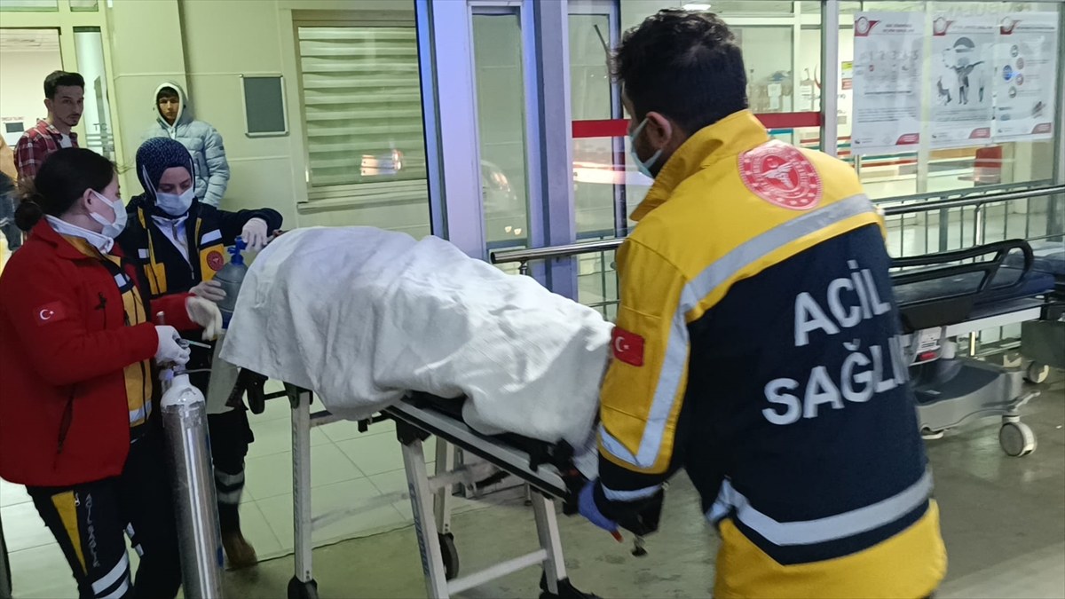 Adana'da devrilen otomobildeki 2 kişi yaralandı