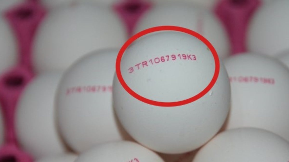Yumurtaların üzerindeki kodlar bakın ne anlama geliyormuş