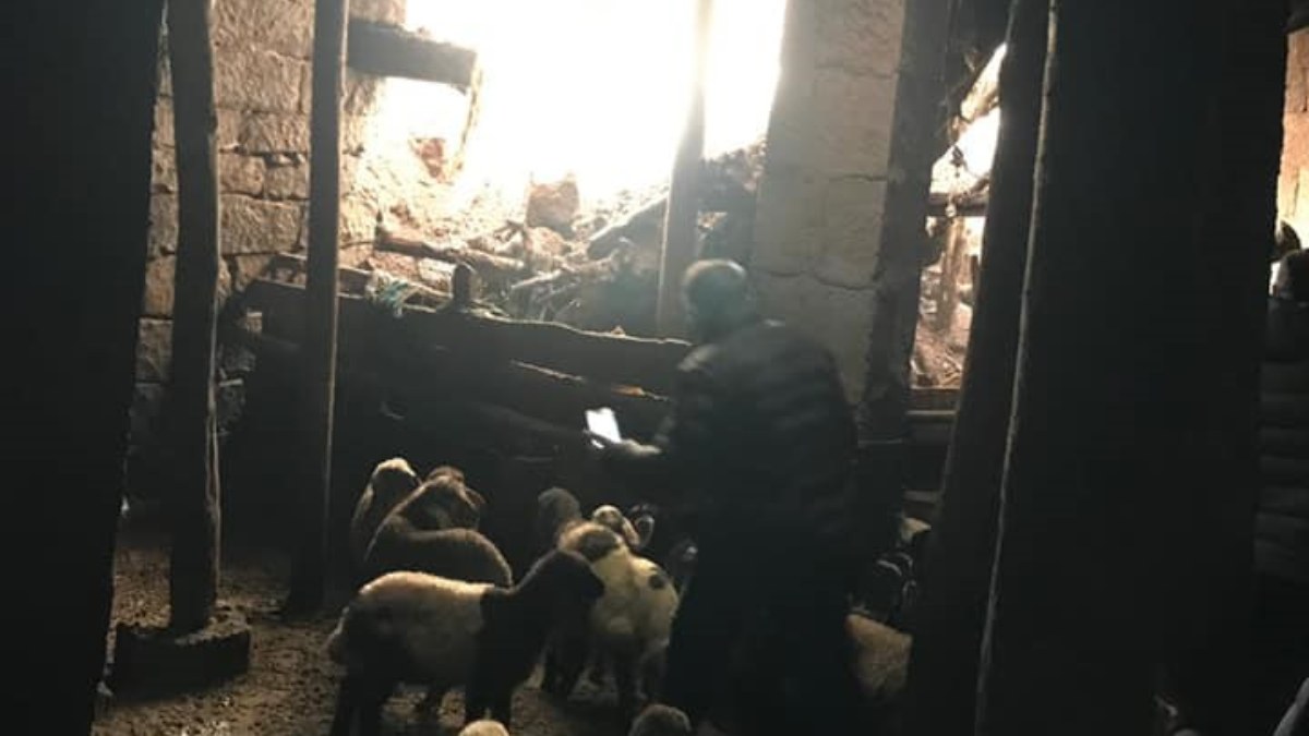Bitlis'te çöken ağılda 20 hayvan telef oldu