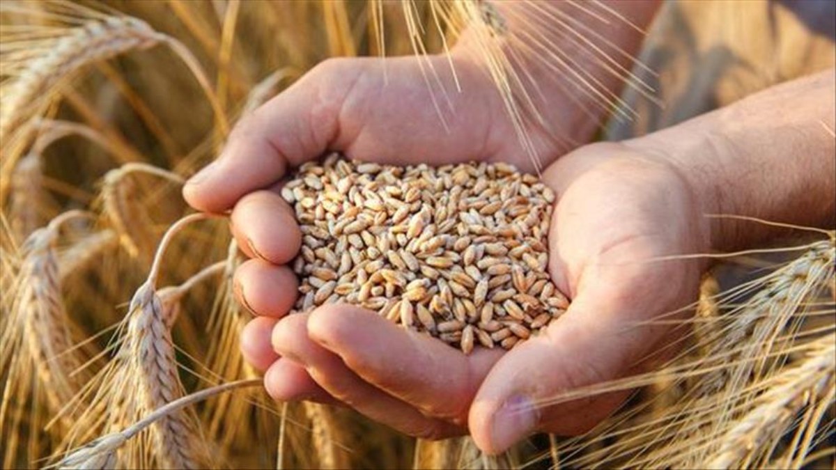 AB, Ukrayna'dan tarım ürünü ithalatına sınır getirecek