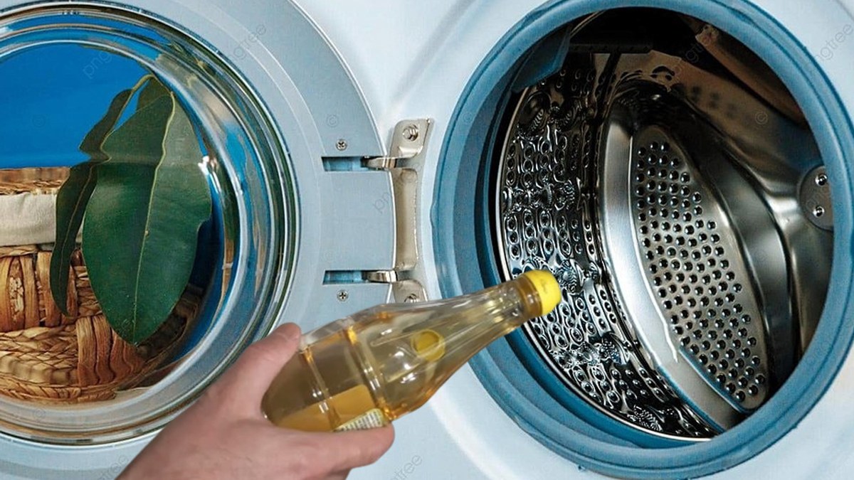 Tamirciler önerdi! Çamaşır makinesine 1 bardak sirke ile ondan ekleyin nasıl temizleniyor görün…