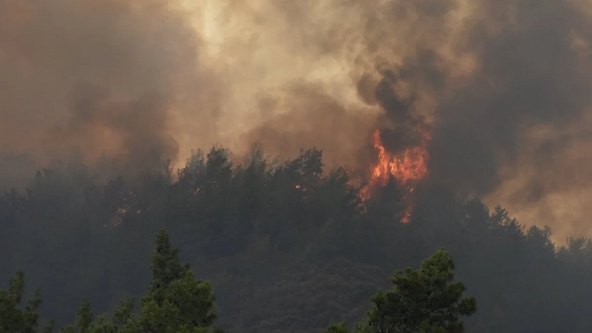 Meksika'da 15 eyalette 58 orman yangını: Bin 421 hektarlık ormanlık alan küle döndü