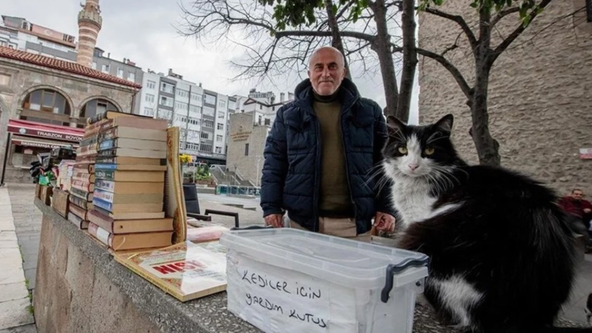 Trabzon'da bağış kutusuna atılan paralarla sahipsiz kediler besleniyor
