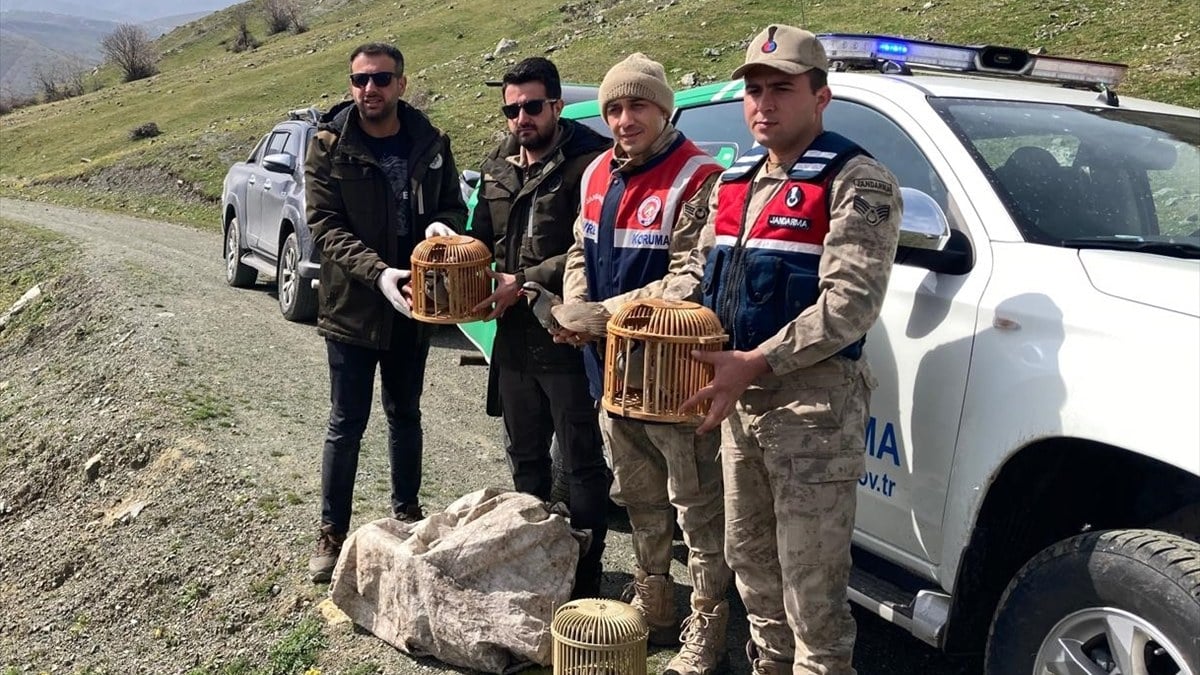 Bitlis'te keklik avlayan 4 kişiye yüklü para cezası