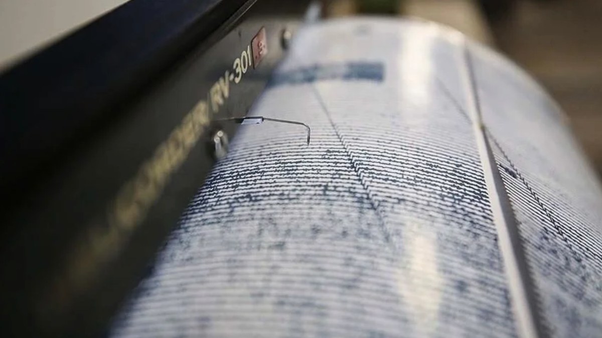 Gürcistan'da 4.6 büyüklüğünde deprem! Ardahan'da da hissedildi