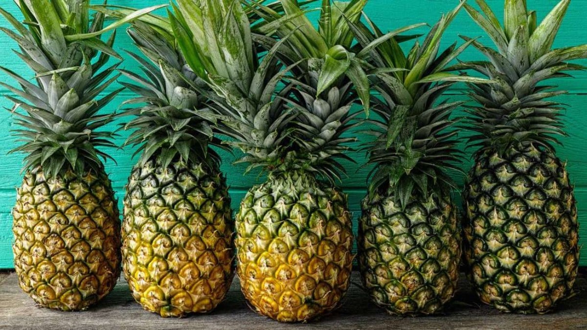 Ananasın faydaları nelerdir? İşte ananas hakkında bilmeniz gerekenler...