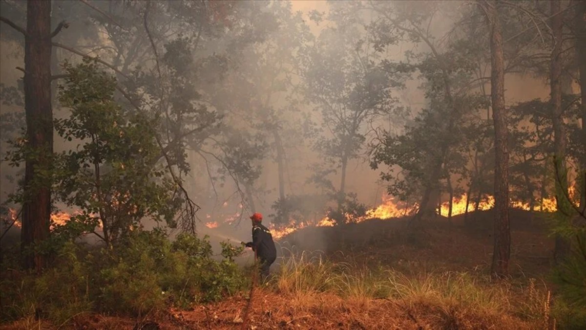 Yunanistan'da orman yangını: Katerin'den alevler yükseldi