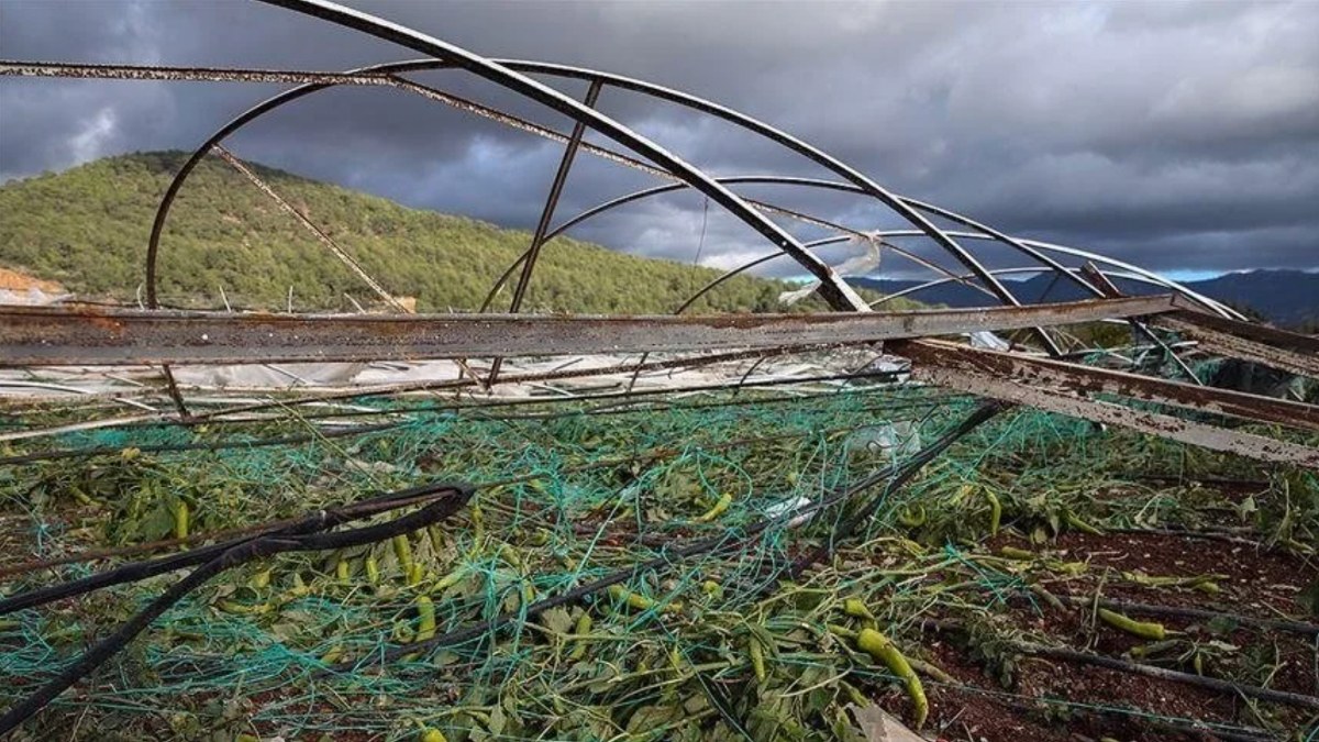 Antalya'da çiftçilere 18 yılda 914,7 milyon TL hasar tazminatı ödendi