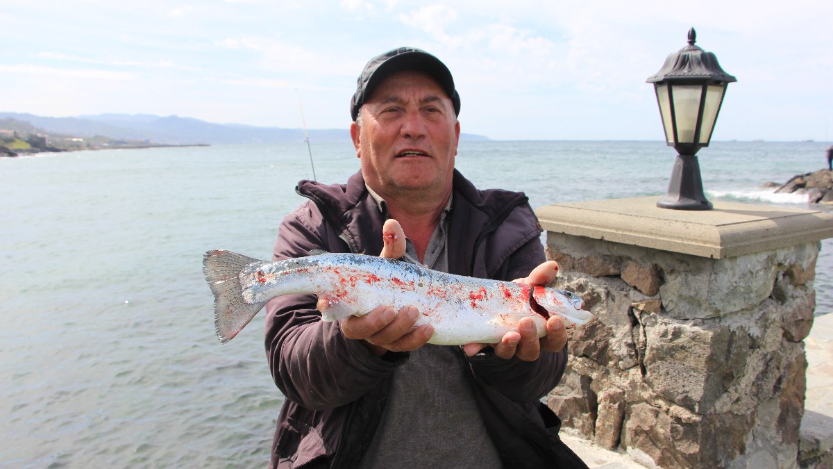 Trabzon'da somonların kafesi yırtıldı: Vatandaş balık tutmak için sahile koştu