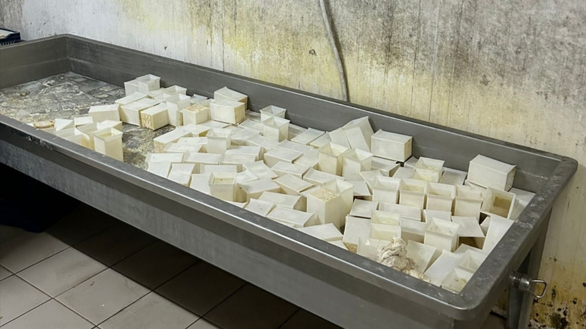 İzmir'de tüketim tarihi geçmiş yaklaşık 20 ton peynir ele geçirildi