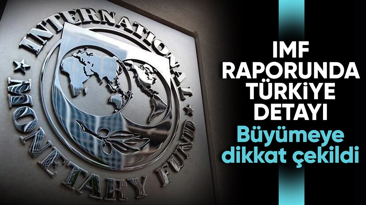 IMF'nin G20 ülkeleri raporunda Türkiye detayı dikkat çekti
