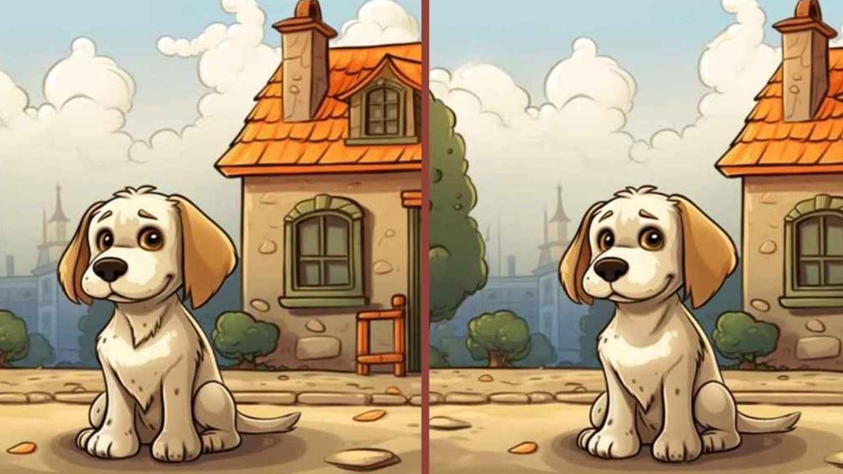 Dikkat testi: 15 saniyede köpek yavrusu resimlerindeki 3 farkı bulun