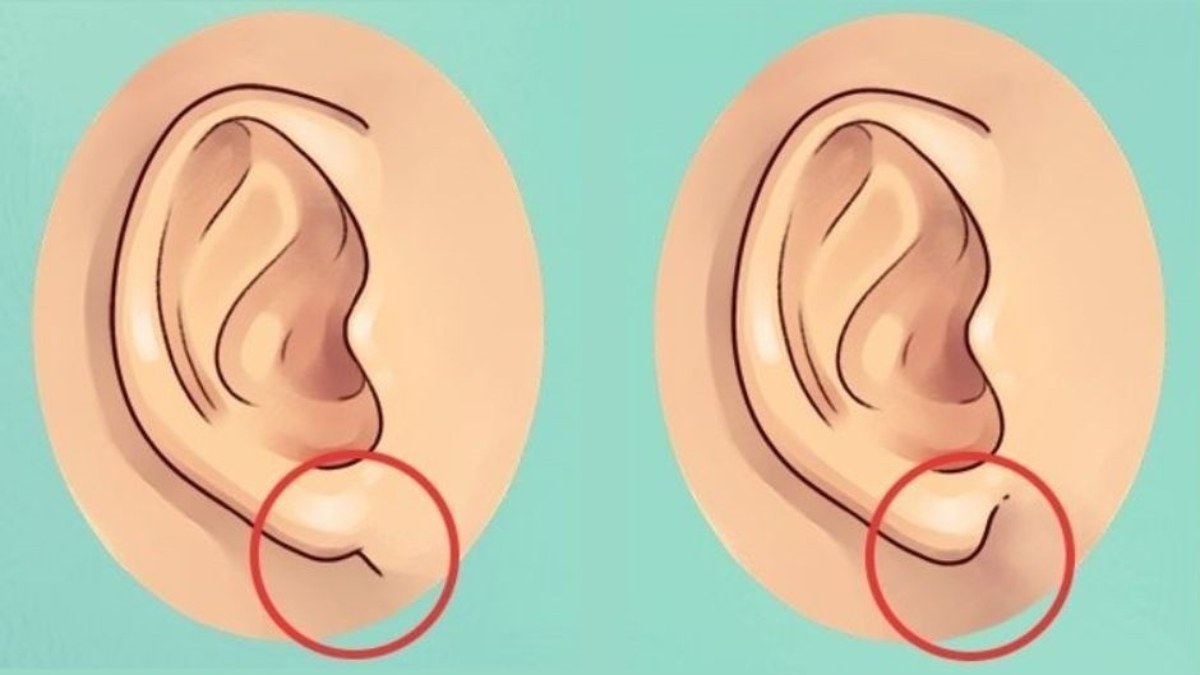 Kişilik testi: Kulak memenize göre gizli karakter özellikleriniz