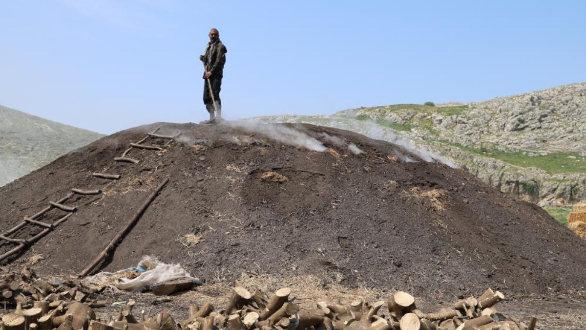 Adana'nın sıcağında narenciye odunları mangal kömürüne dönüşüyor