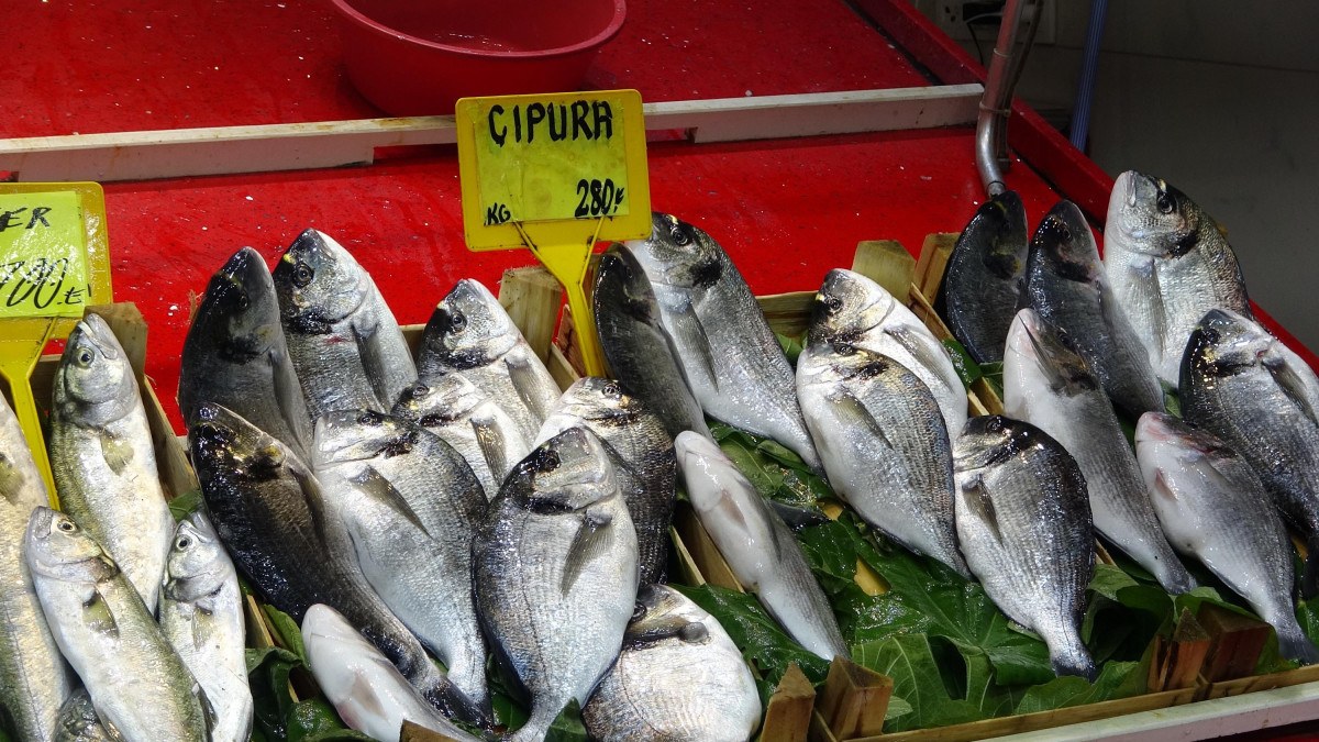 Çanakkale'de av sezonu sona erdi: Fiyatlar arttı