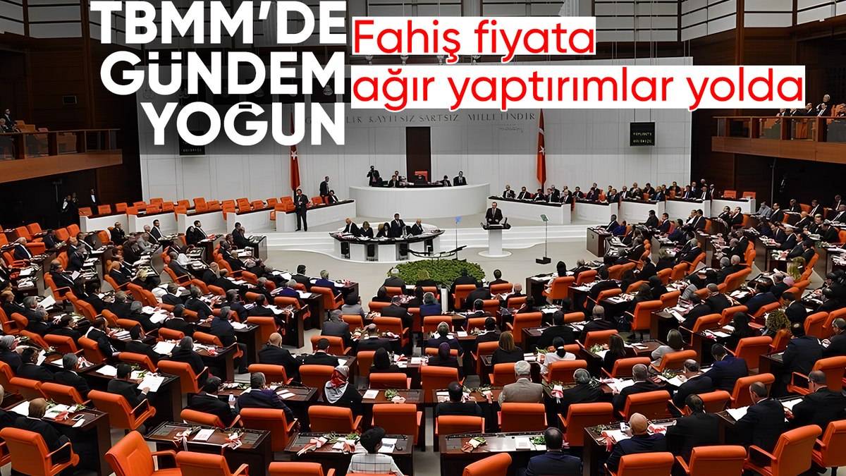 Meclis'in gündemi bu hafta yoğun: Fahiş fiyata ağır yaptırımlar yolda