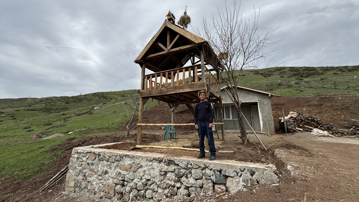 Bingöl'de yıllar sonra yerleştiği köyüne leylekler için yuva yaptı