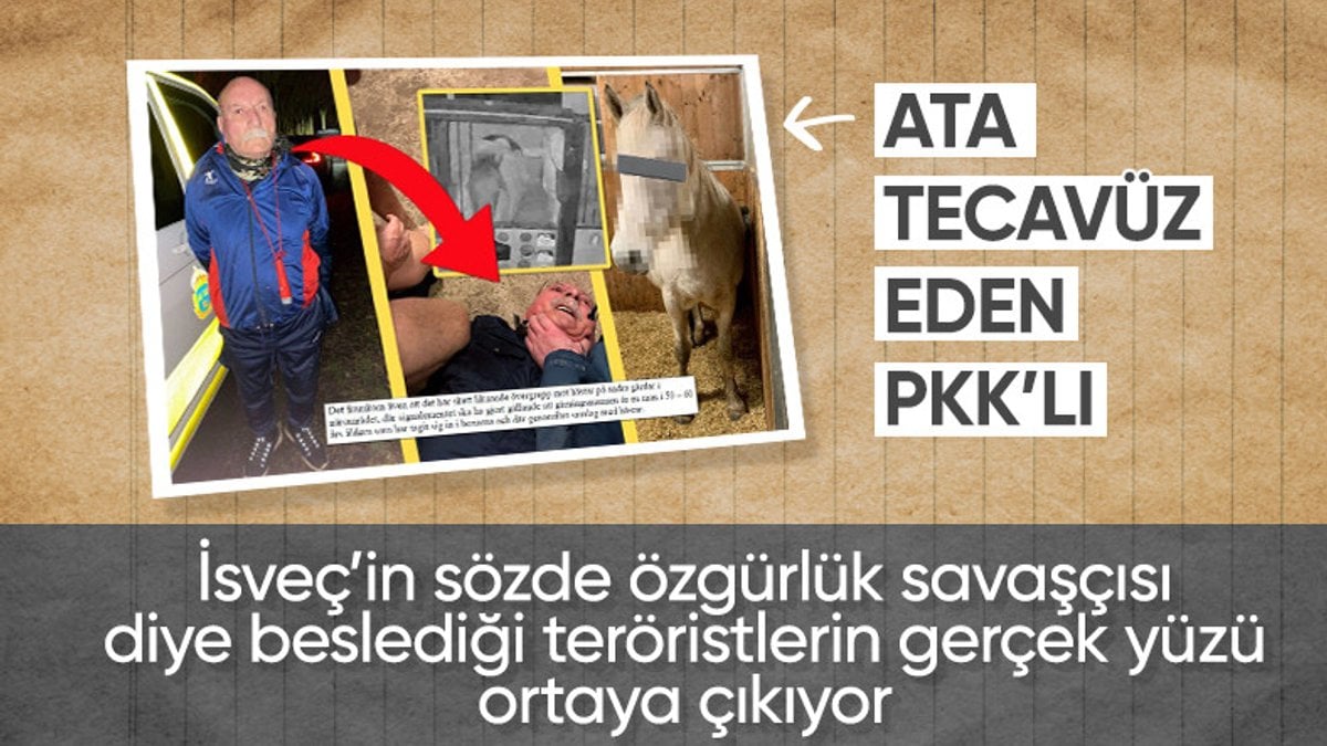 İsveç pişman: Korudukları PKK'lı at tecavüzcüsü çıktı