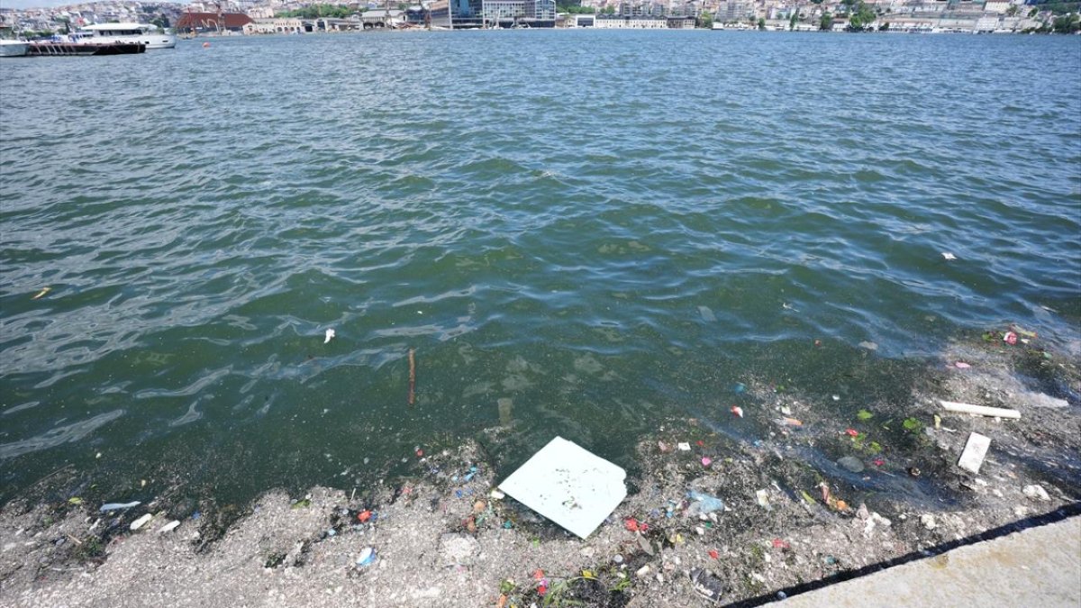 İstanbul Balat'ta sahile vuran çöpler dikkati çekti