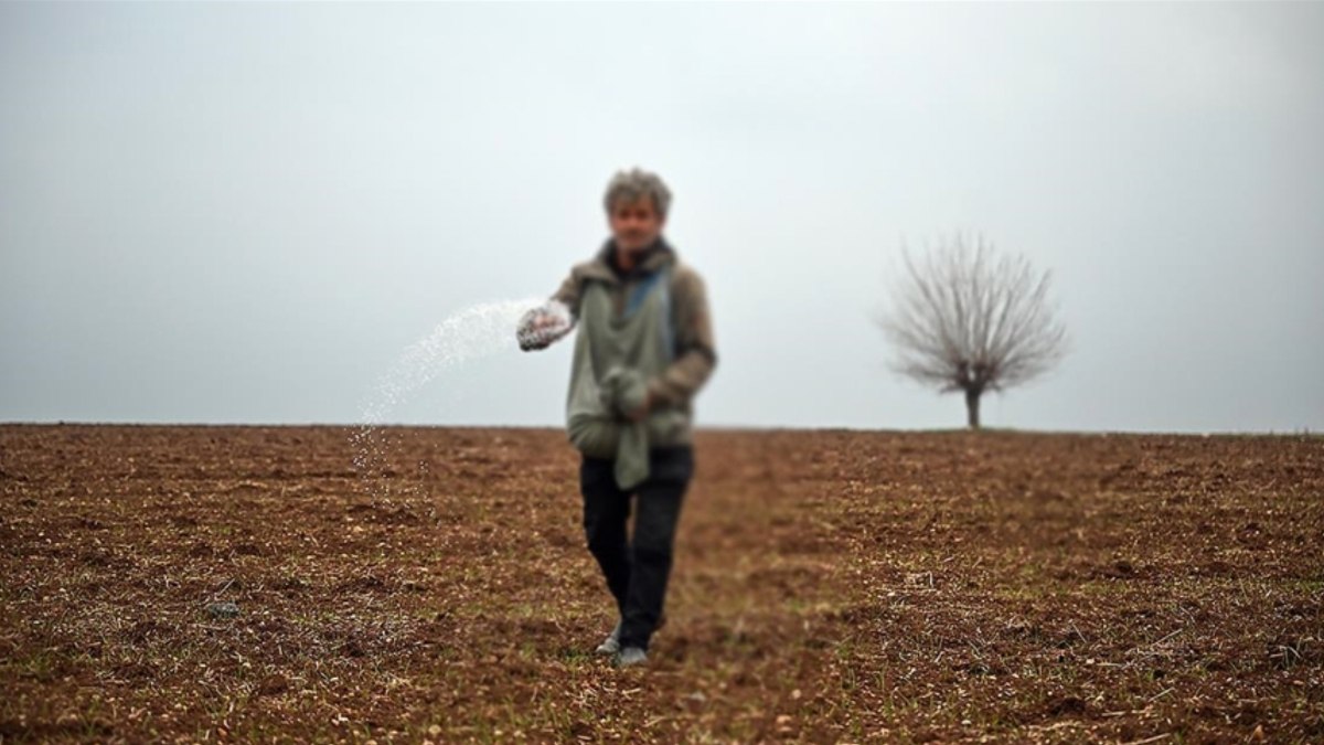 Türkiye Tohumcular Birliği: Türkiye tohumda ne İsrail'e ne de başka bir ülkeye bağımlı değil