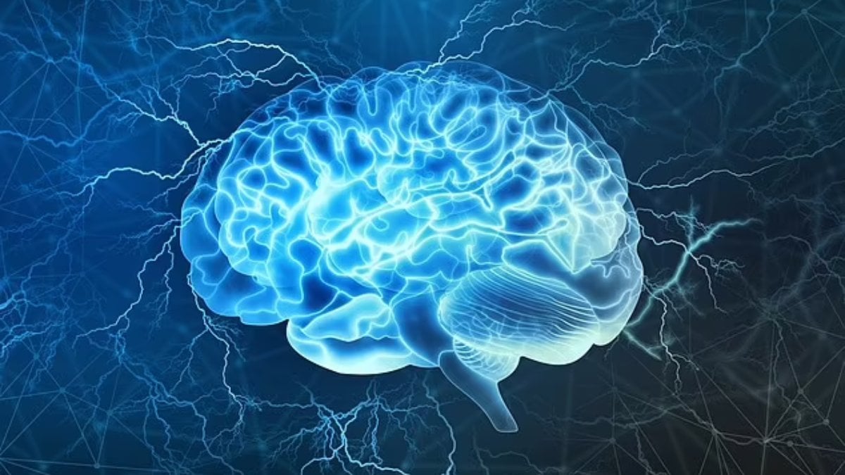 Beynimizde yerleşik bir GPS var: Bilim insanları kaybolmamızı önleyen bir 'nöral pusula' tespit etti
