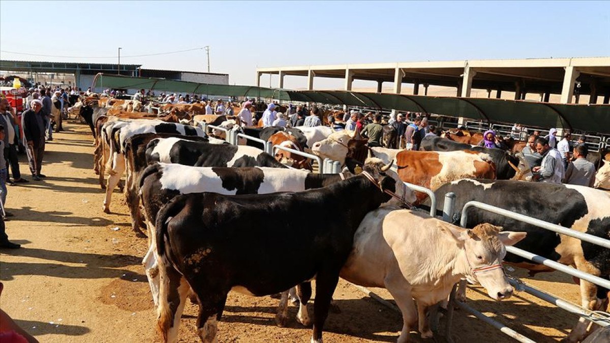 Kurban kesimini düzenleyen tebliğ Resmi Gazete'de