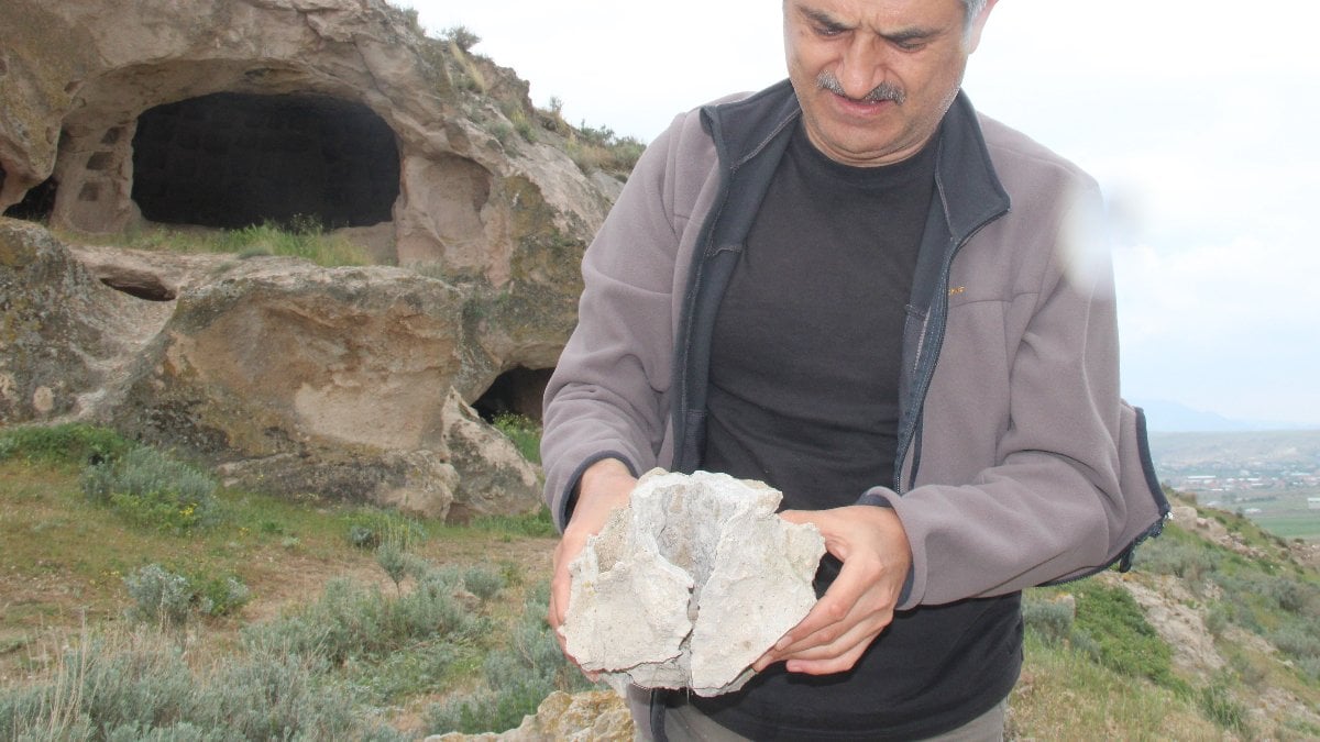 Kayseri'de 10 milyon yıllık ağaç fosilleri bulundu