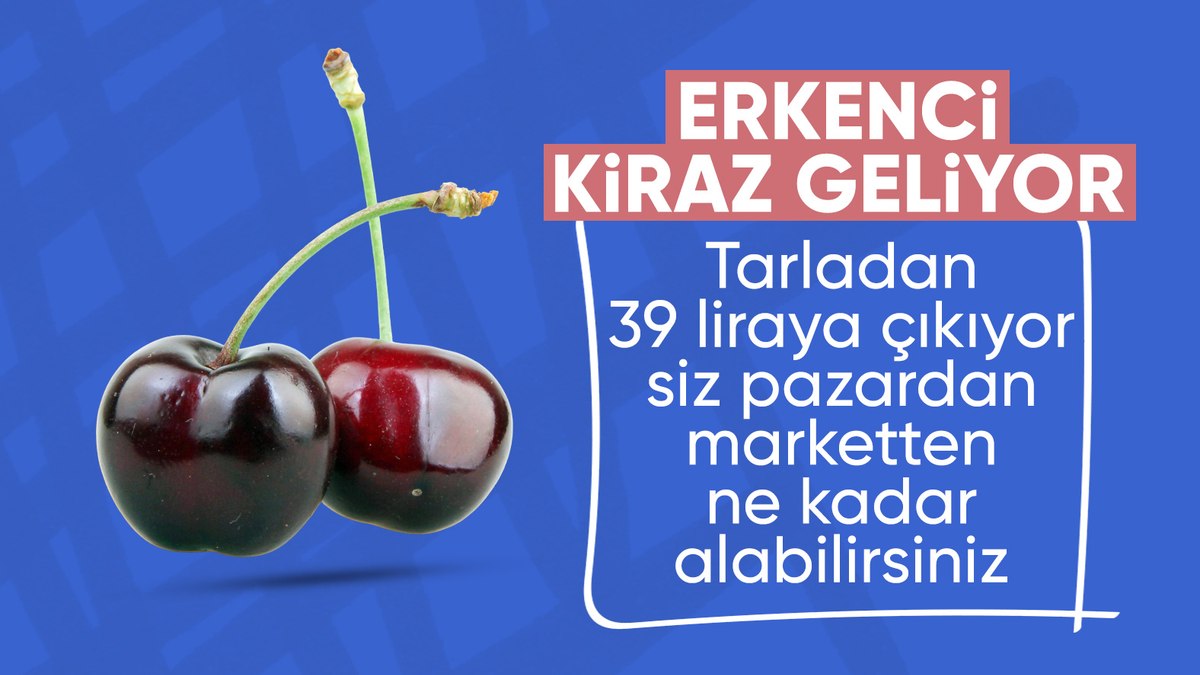 Bilecik'te kiraz hasadı başladı... Tarlada 35, markette 200 TL