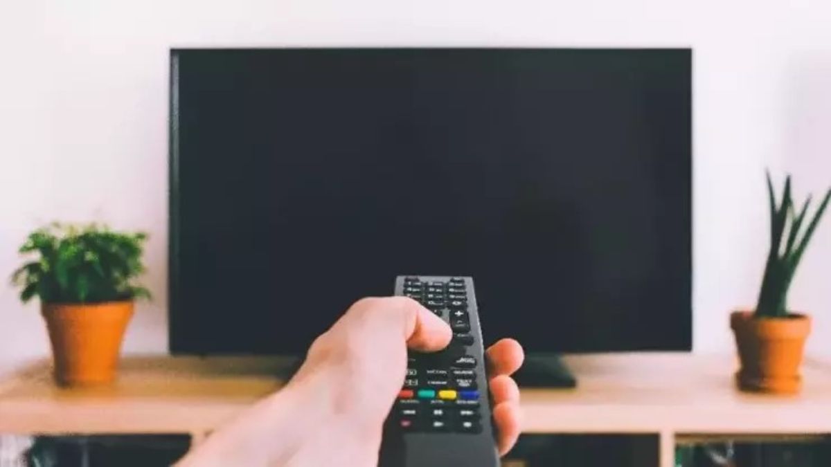 Ünlü akademisyen belgeleri açıkladı!