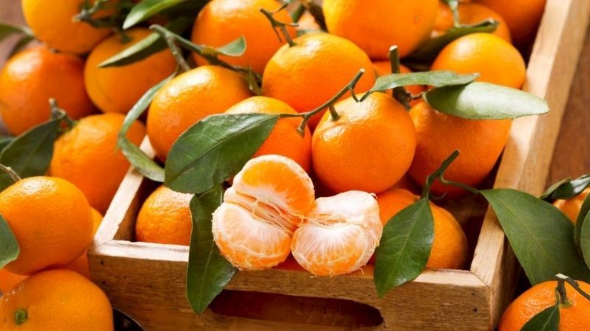 Mandalinanın faydaları nelerdir? Mandalina yemenin vücuda yararları neler?