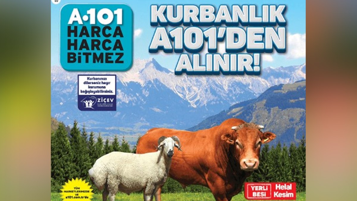 A101’den uygun fiyata kurbanlık: Koç 13.750 TL, Büyükbaş 16. 950 TL…