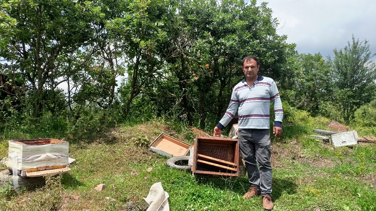 Kocaeli'de kovanları parçalanan arıcı şikayetçi oldu