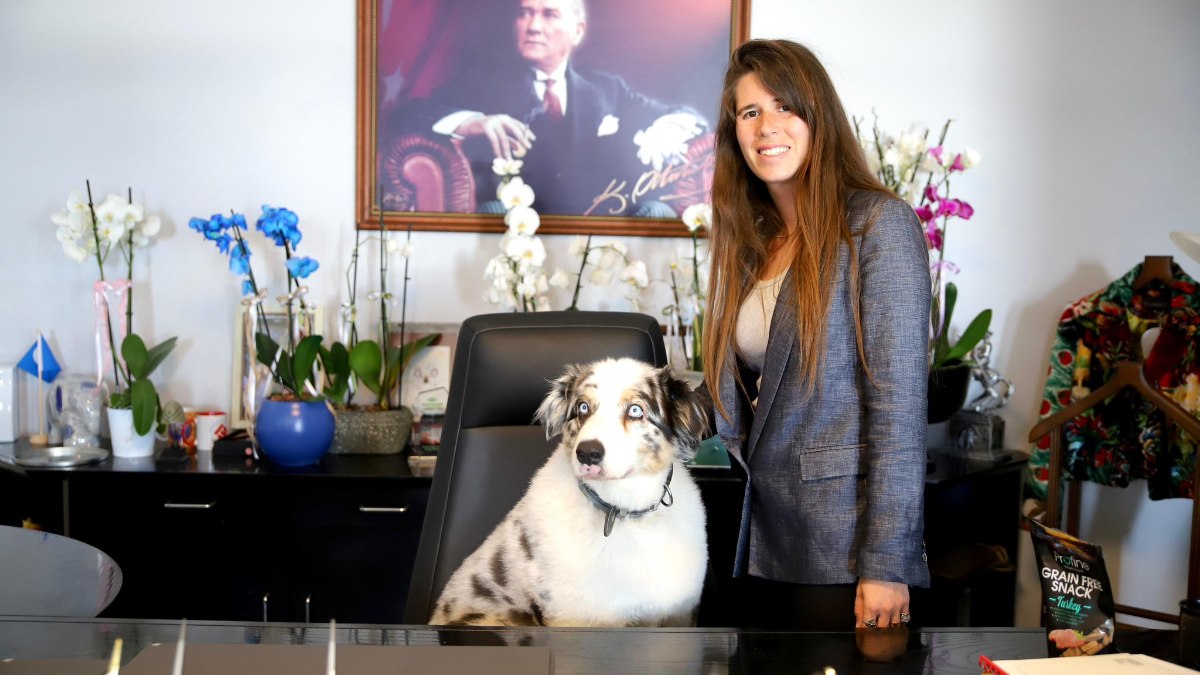 Çeşme Belediye Başkanı Lal Denizli, makam koltuğuna köpek oturttu