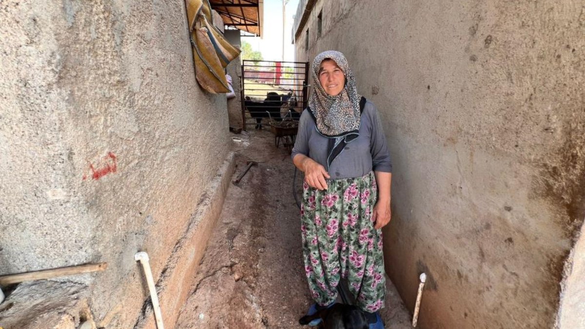 Kahramanmaraş'ta kurbanlık satıcısı kadından tepki: Pahalı satılıyor bu kadar olmaz