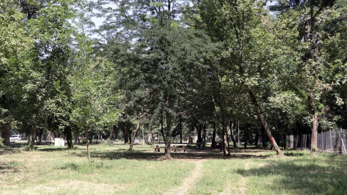 Edirne'de ormanlık alanlara girişler kısıtlandı