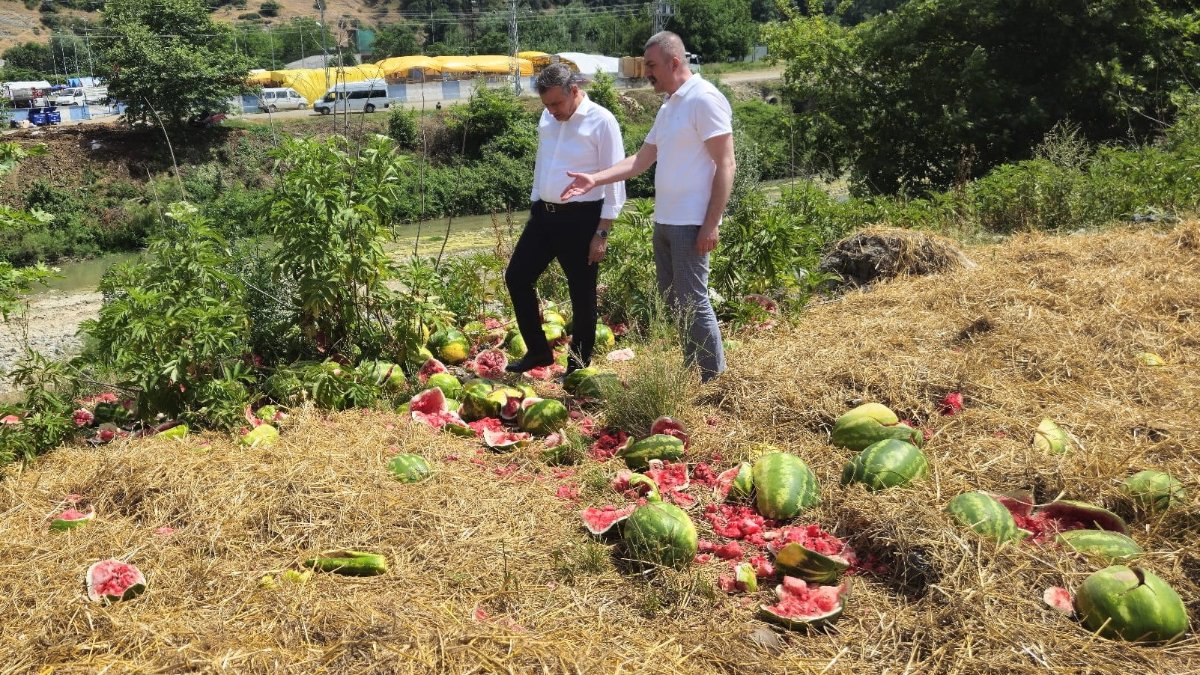 Samsun'da ırmak kenarına karpuz döktüler: İnceleme başlatıldı