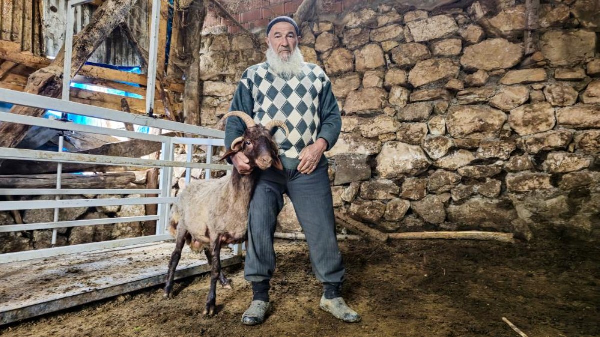 Alo Fetva hattından 'kırık boynuzlu kurbanlık sorusuna' cevap