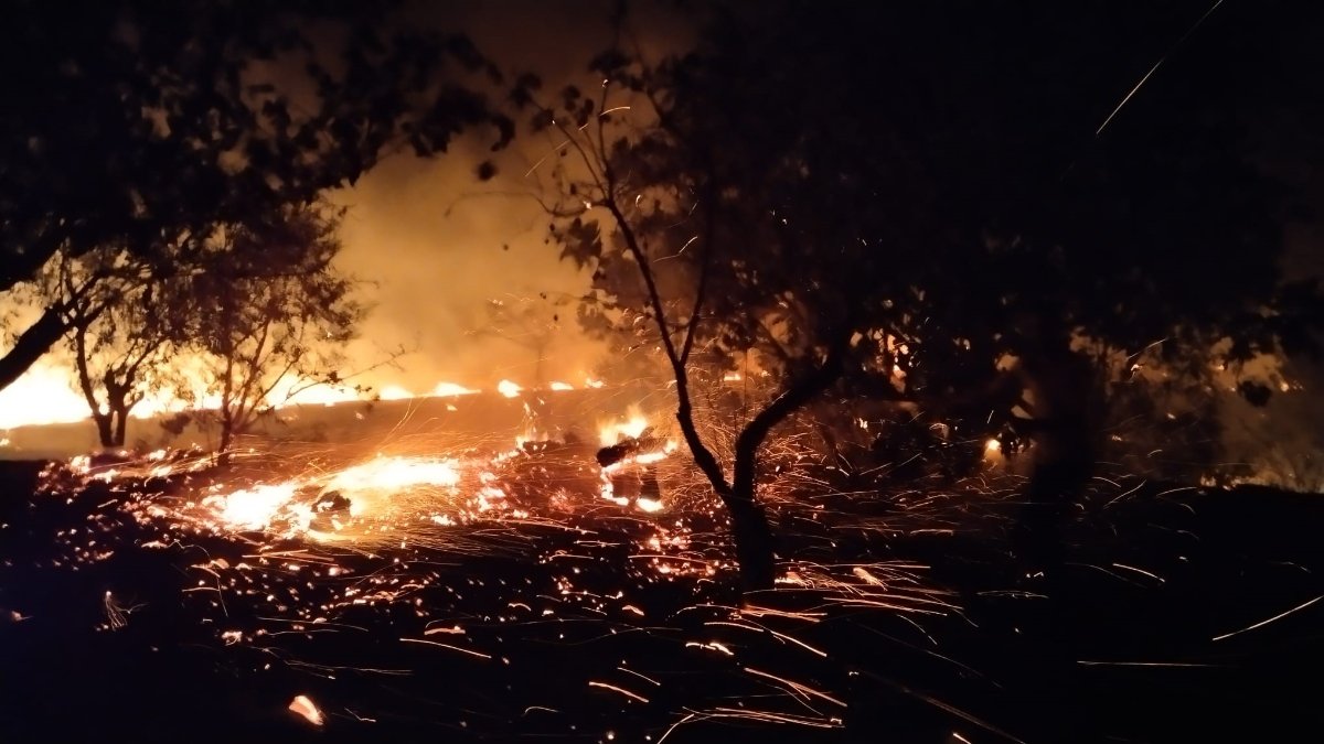 Tokat'ta yıldırım, ekili tarlayı kül etti