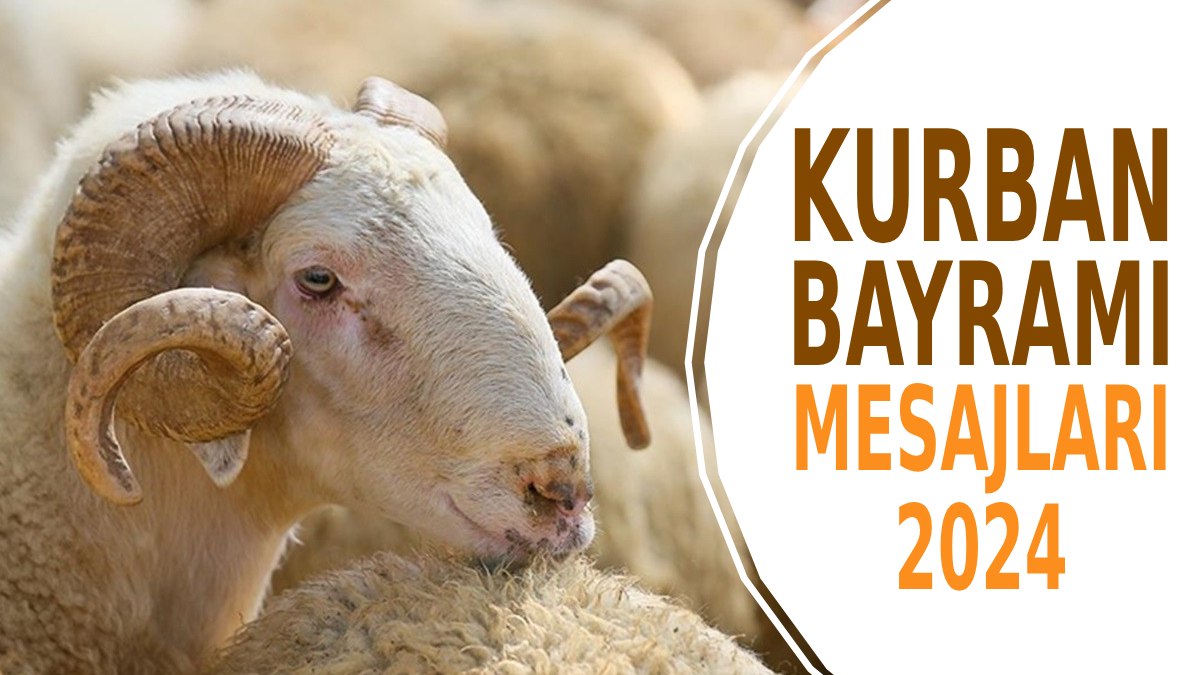 Kurban Bayramı mesajları 2024: En güzel resimli, dualı ve anlamlı bayram mesajları