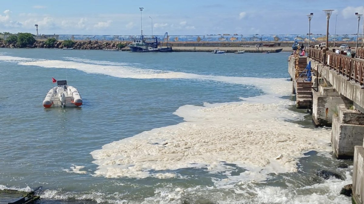 Karadeniz'de müsilaj yayılıyor: Ekipler çalışma başlattı