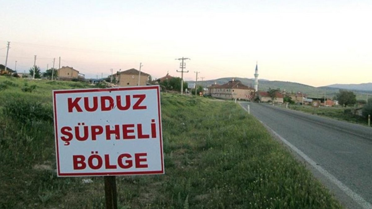 Niğde'de kuduz karantinası: Sahipsiz köpek bir kişiyi ısırdı