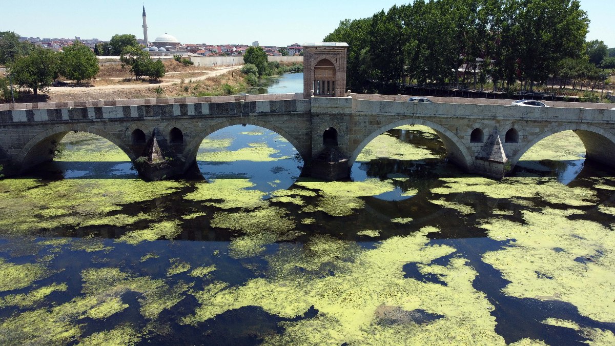 Edirne'de üzeri yosun tutan Tunca Nehri'nde debi bir ayda yarıya düştü